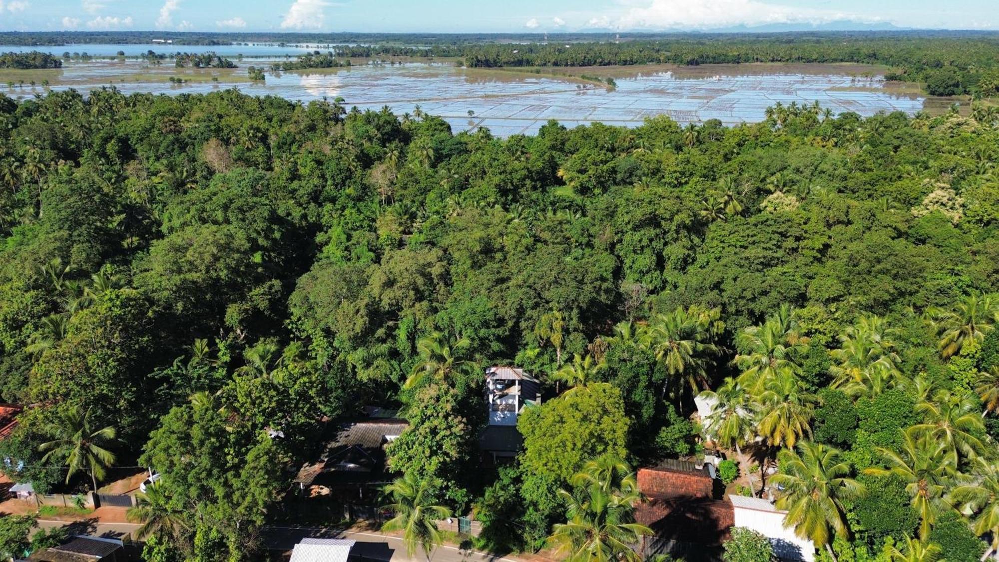 Yala Safari River View Hotel Тисамахарама Екстериор снимка
